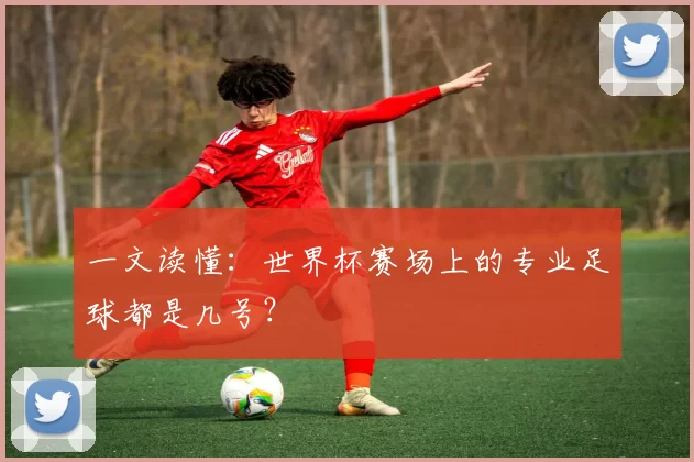 一文读懂：世界杯赛场上的专业足球都是几号？