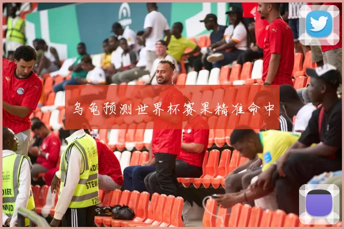 乌龟预测世界杯赛果精准命中