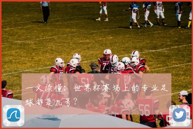 一文读懂：世界杯赛场上的专业足球都是几号？