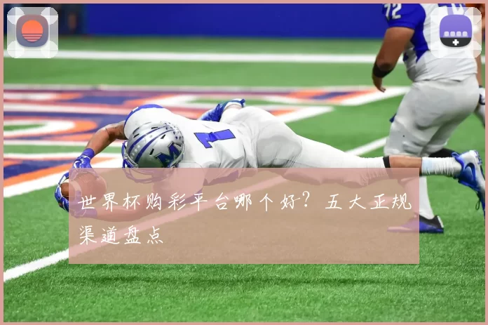 世界杯购彩平台哪个好?五大正规渠道盘点