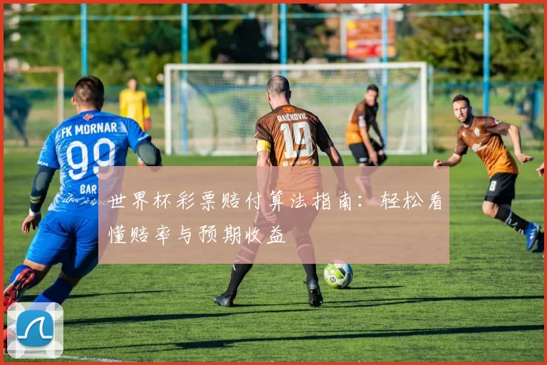 世界杯彩票赔付算法指南:轻松看懂赔率与预期收益