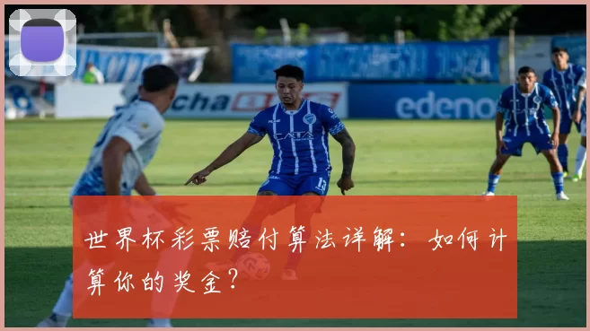 世界杯彩票赔付算法详解：如何计算你的奖金？