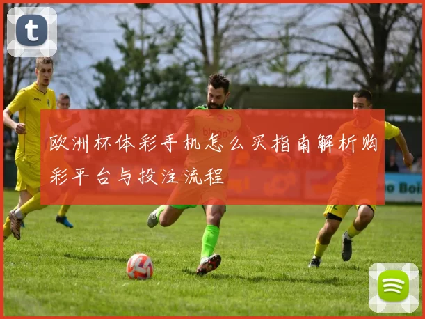 欧洲杯体彩手机怎么买指南解析购彩平台与投注流程