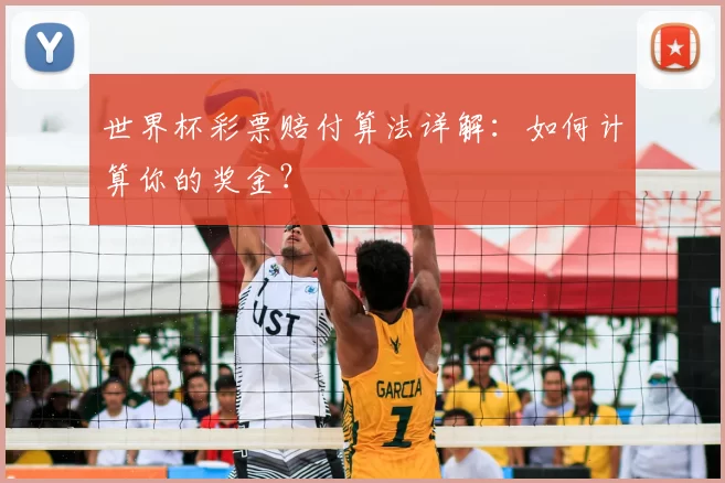 世界杯彩票赔付算法详解:如何计算你的奖金?