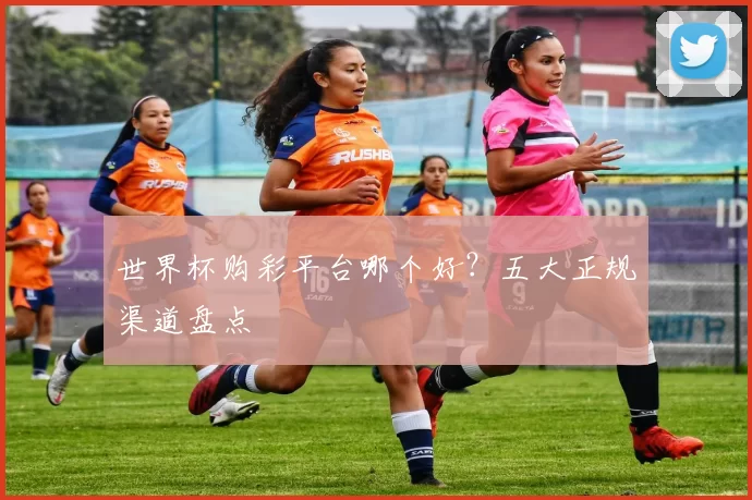 世界杯购彩平台哪个好？五大正规渠道盘点