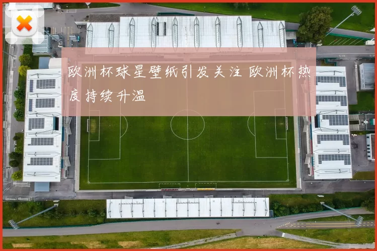 欧洲杯球星壁纸引发关注 欧洲杯热度持续升温