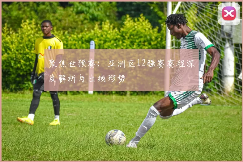 聚焦世预赛:亚洲区12强赛赛程深度解析与出线形势
