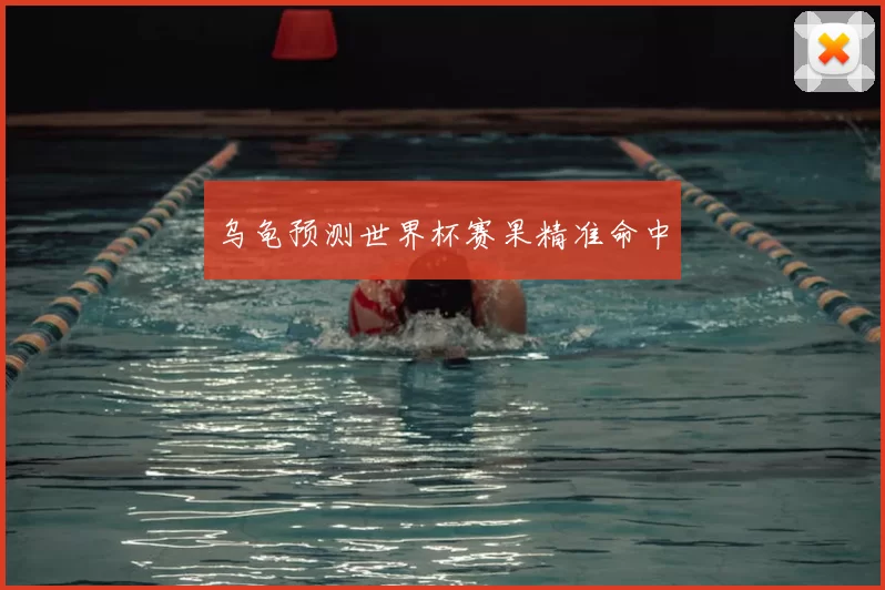 乌龟预测世界杯赛果精准命中