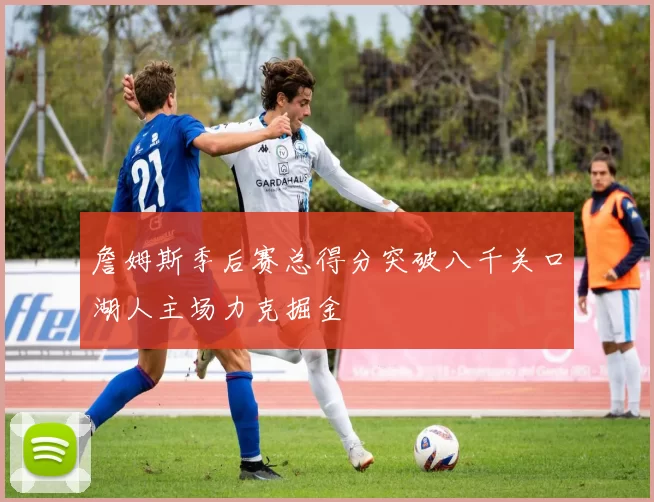 詹姆斯季后赛总得分突破八千关口湖人主场力克掘金
