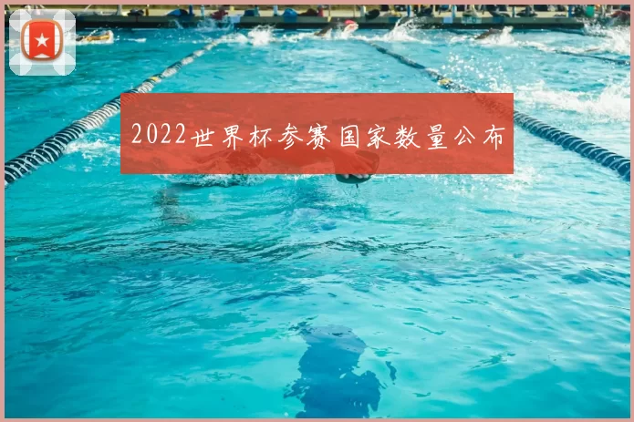 2022世界杯参赛国家数量公布